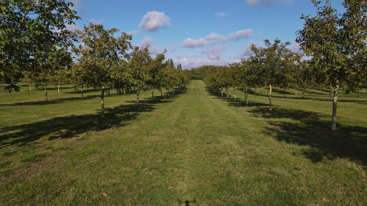 Domaine De La Noiseraie Rhisnes Exterior photo