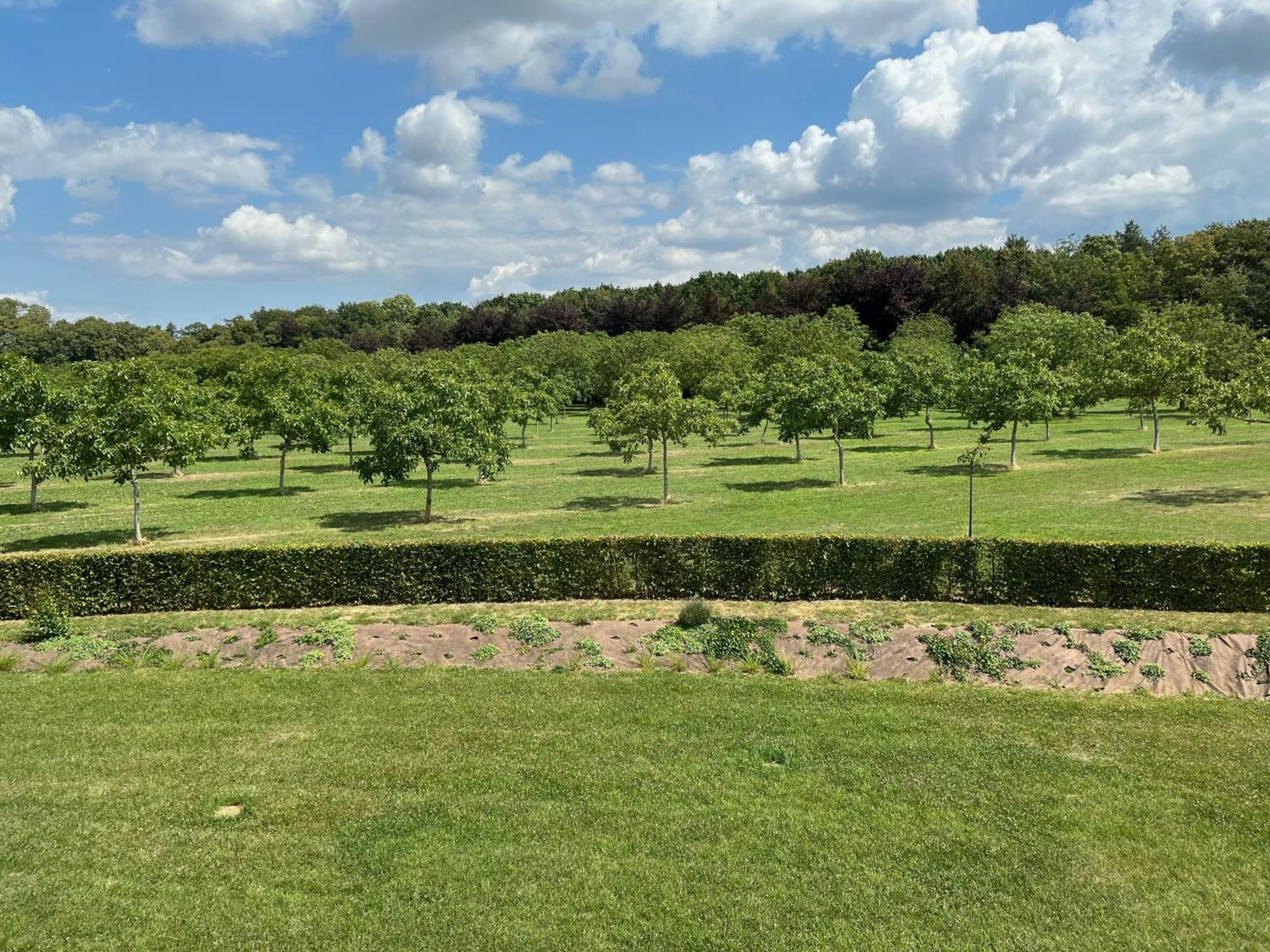 Domaine De La Noiseraie Rhisnes Exterior photo